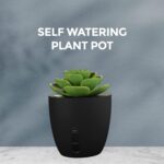 eo Pen Stand for Study Table with Self-Watering Plant Pot, Glasses & Smartphone Holder – Desk Organizer & Pencil Holder for Office, Home, Kids, Students, Study Room (Desk...