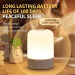 One94Store Oval Shaped LED Table Lamp – USB Rechargeable Touch Night Light with 3 Modes, Dimmable Brightness by Long Press on Power Button, for Bedroom, Living Room, Study &...